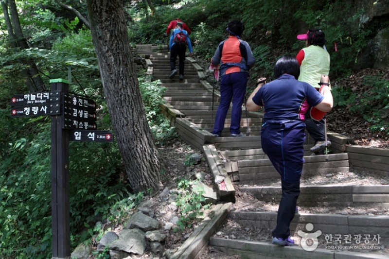 清凉山道立公園 (11/23)