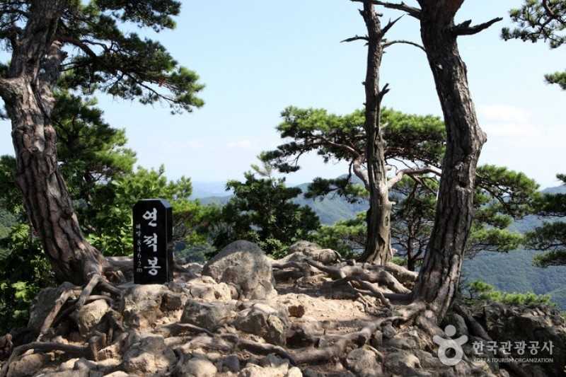 清凉山道立公園 (14/23)