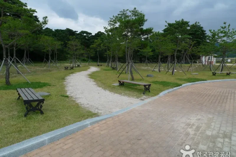 慶州掛陵（경주 괘릉） (4/12)