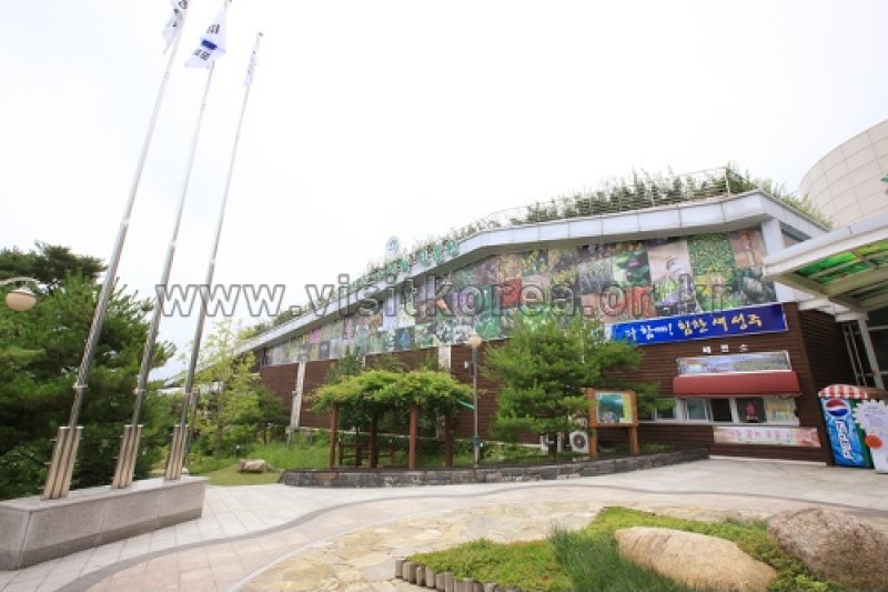 伽倻山野生花植物園 (3/27)