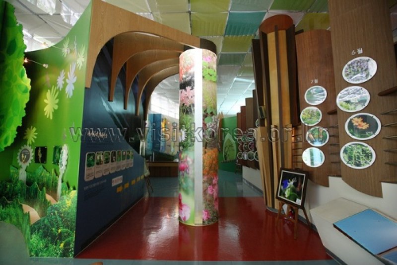 伽倻山野生花植物園 (9/27)