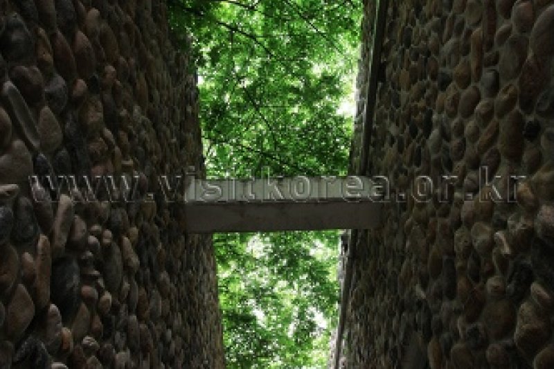 伽倻山野生花植物園 (17/27)