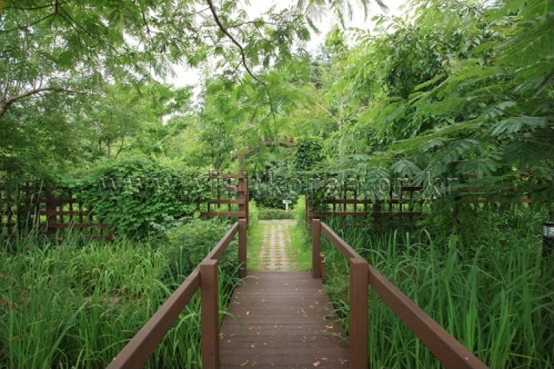 伽倻山野生花植物園 (19/27)