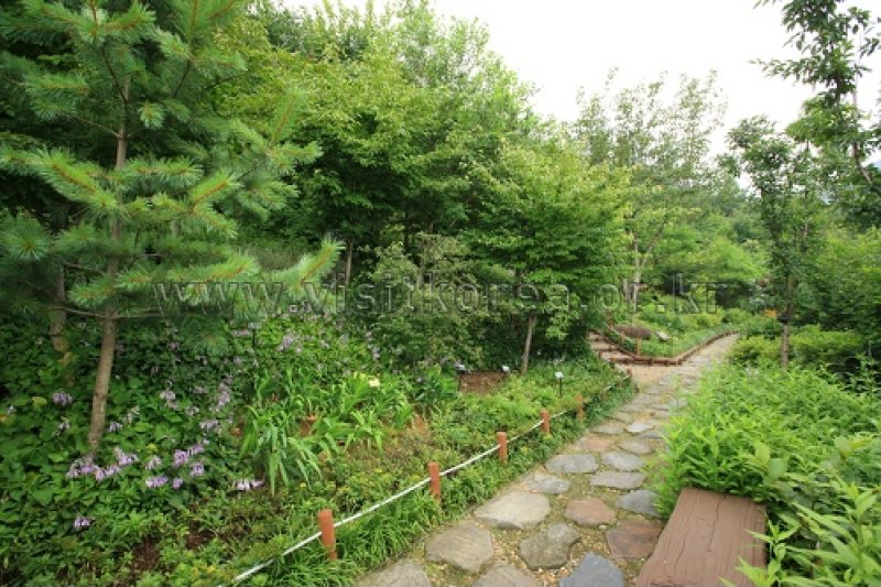 伽倻山野生花植物園 (20/27)