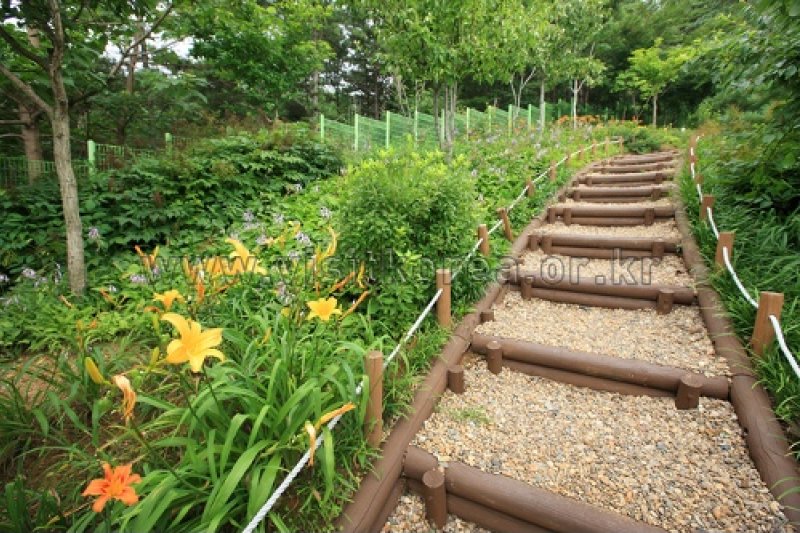 伽倻山野生花植物園 (23/27)