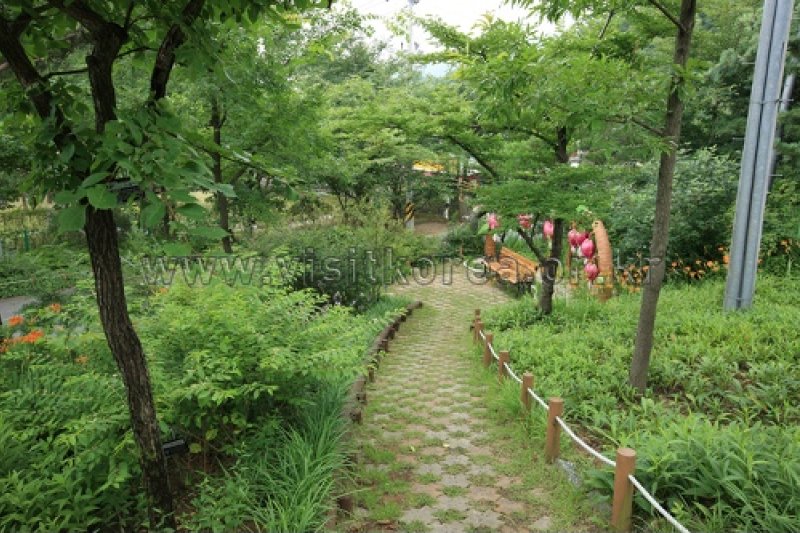 伽倻山野生花植物園 (24/27)