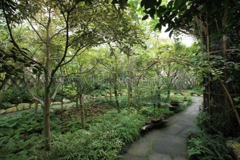 伽倻山野生花植物園 (26/27)