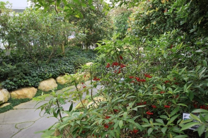 伽倻山野生花植物園 (27/27)