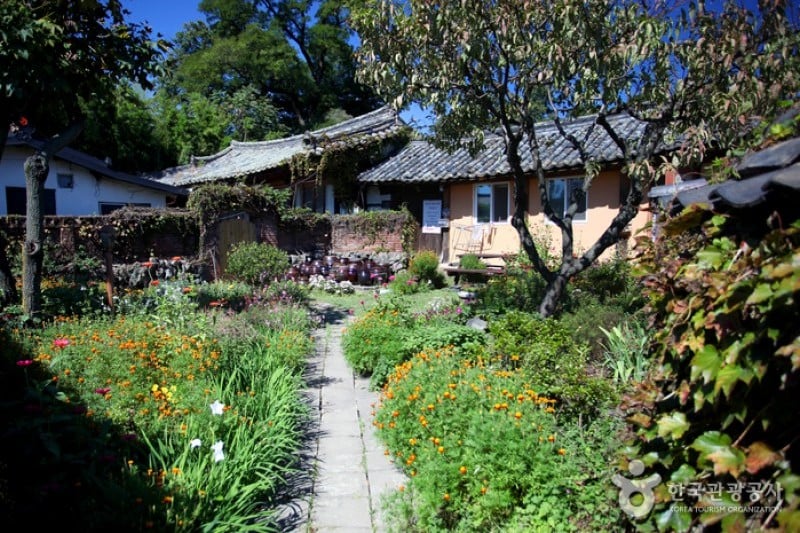 慶州校村村 (10/10)