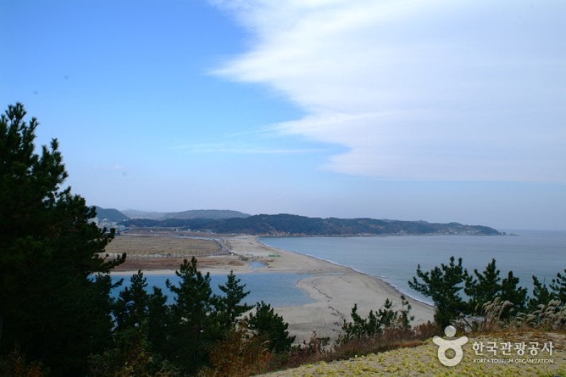 望洋亭（망양정） (2/6)