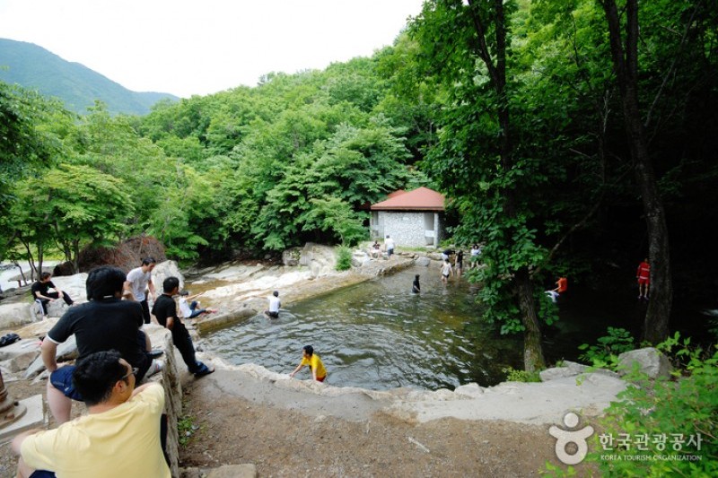国立雲門山自然休養林 (5/21)