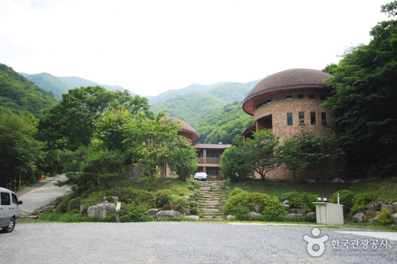 国立雲門山自然休養林 (19/21)