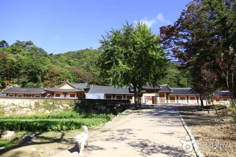 大乗寺 (2/5)