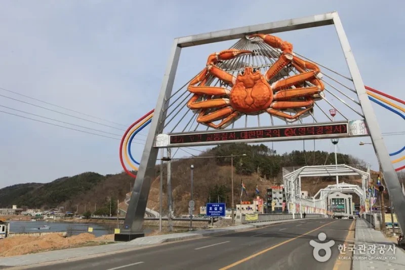 盈徳ズワイガニ村 (1/10)
