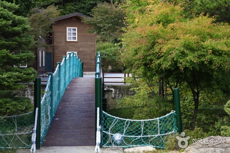 聖主峰自然休養林 (1/5)
