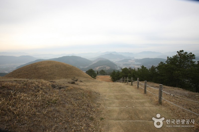 高霊池山洞古墳群 (6/13)