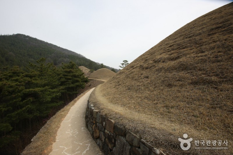 高霊池山洞古墳群 (7/13)