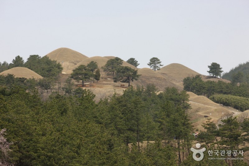 高霊池山洞古墳群 (9/13)