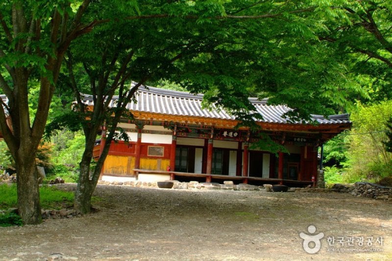 白蓮庵 (1/3)
