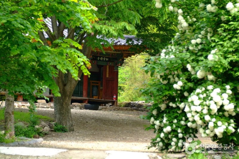 白蓮庵 (2/3)