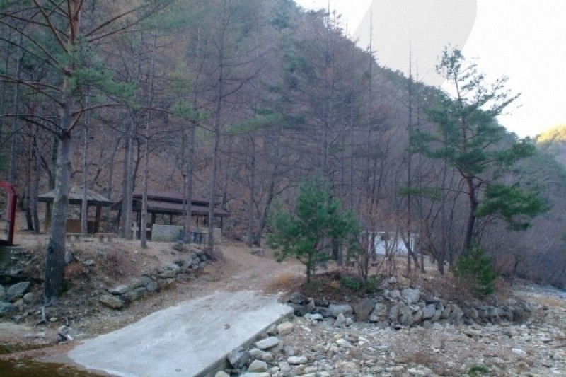 通高山自然休養林 (3/5)