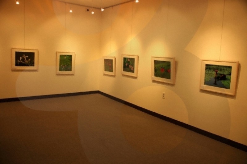 郡立青松野松美術館 (2/6)
