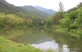 漆谷 松亭自然休養林