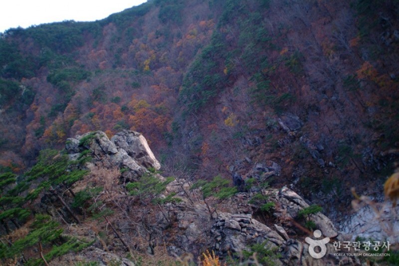 仏影寺渓谷 (1/18)