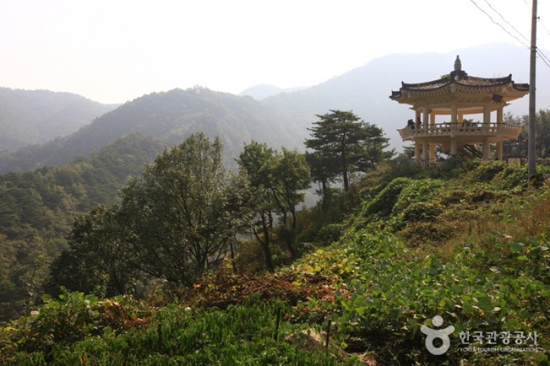 仏影寺渓谷 (18/18)