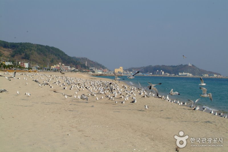 厚浦海水浴場 (1/5)