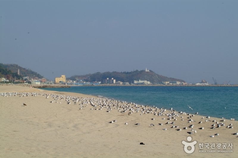 厚浦海水浴場 (4/5)