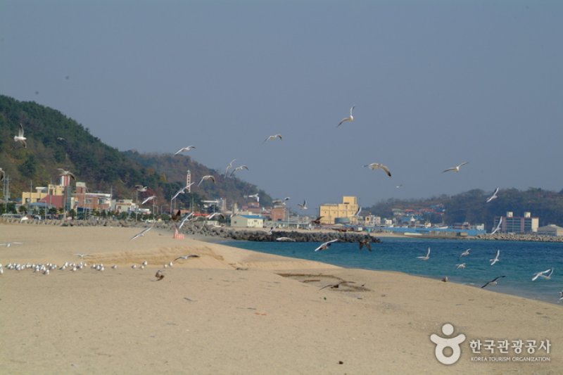 厚浦海水浴場 (5/5)