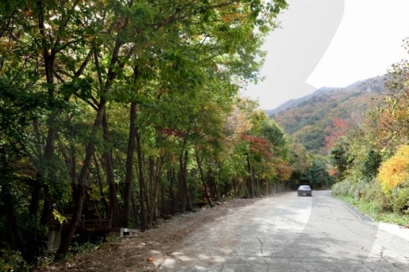 雲門山郡立公園（운문산군립공원） (1/5)