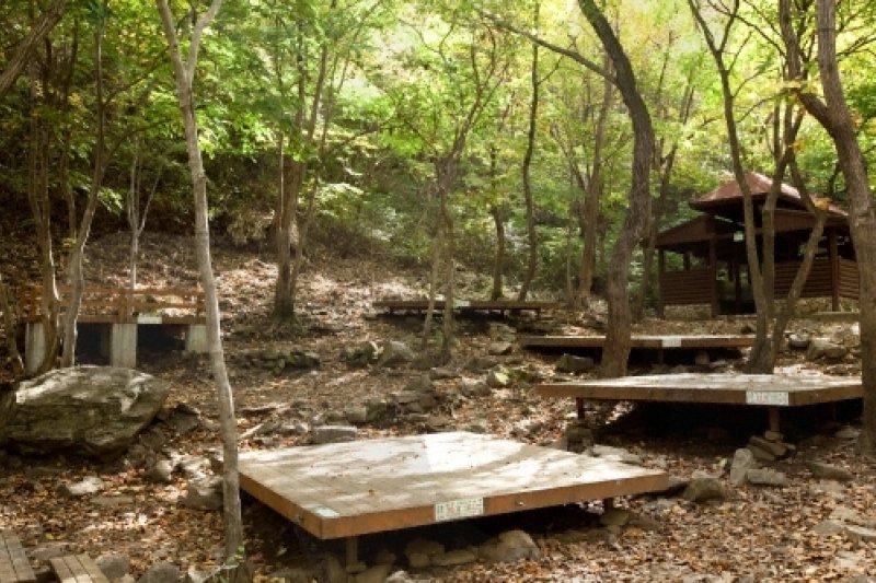 雲門山郡立公園（운문산군립공원） (4/5)