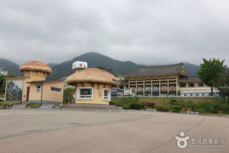 白岩温泉観光特区 (5/5)