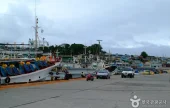 九龍浦港