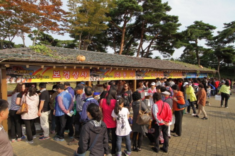 蔚珍金剛松マツタケ祭り (8/10)
