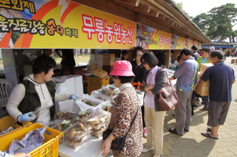蔚珍金剛松マツタケ祭り (10/10)