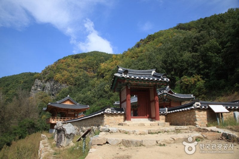［名品古宅］聾岩宗宅（[명품고택]농암종택） (42/52)