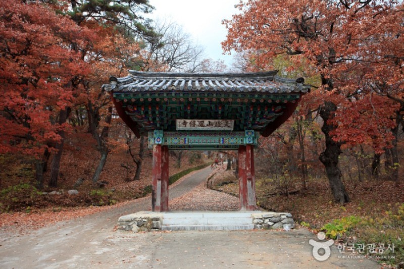 鳳停寺 (13/15)