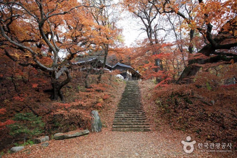 鳳停寺 (15/15)