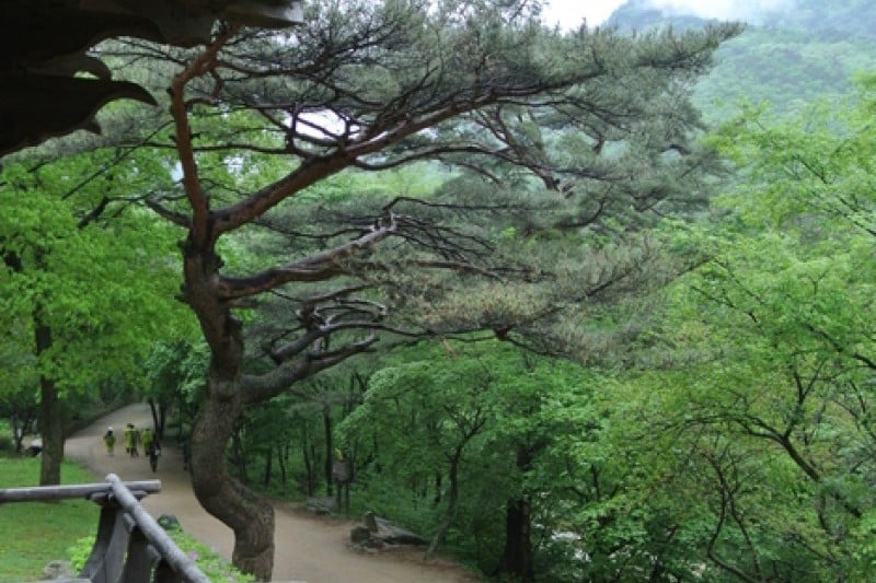 聞慶セジェ道立公園 (44/46)