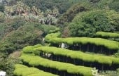 外島ボタニア（外島海上観光農園）외도 보타니아