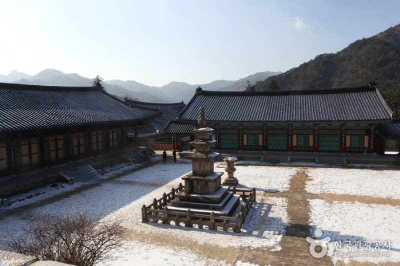 海印寺 (5/9)