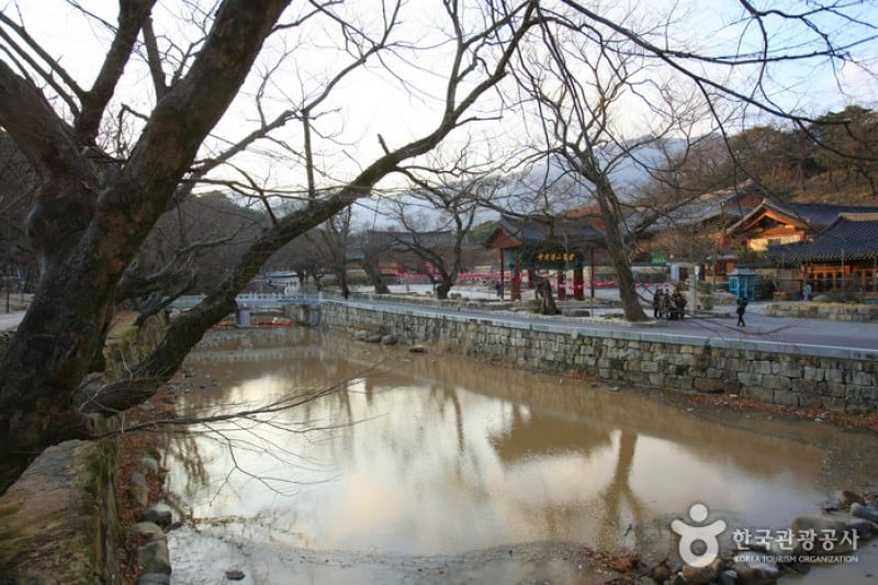 通度寺 (32/37)