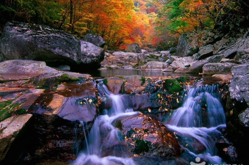 智異山国立公園（山清）（지리산국립공원 (1/2)