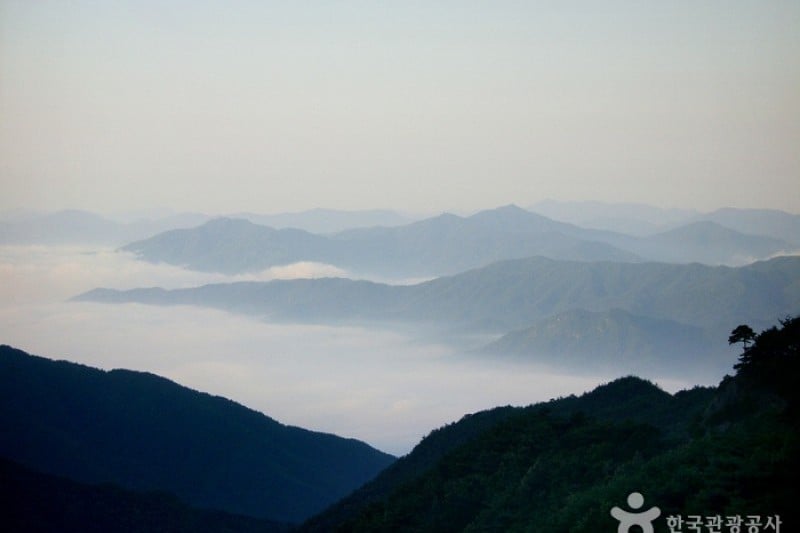 智異山国立公園（山清）（지리산국립공원 (2/2)