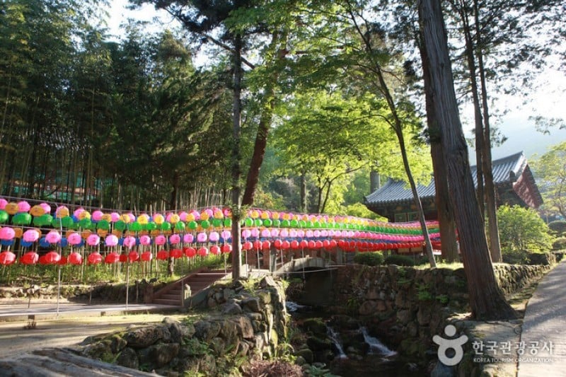 双磎寺（河東）（쌍계사 (35/36)