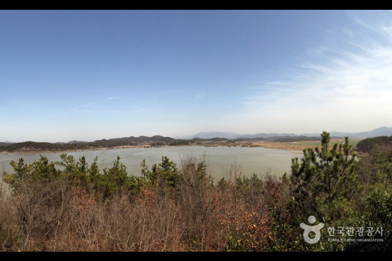 昌寧 牛浦沼 (12/31)