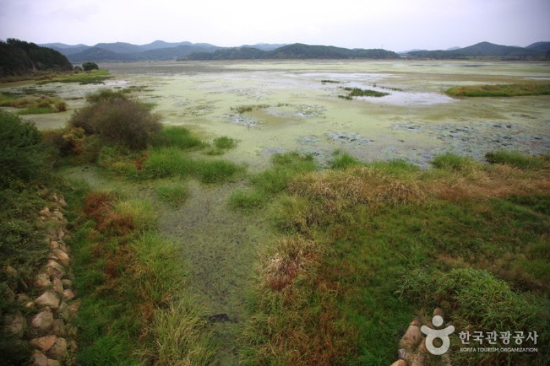 昌寧 牛浦沼 (21/31)